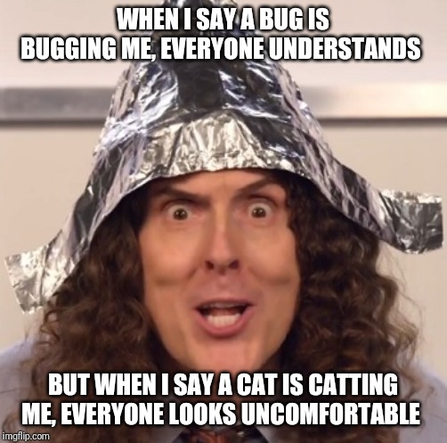 More proof English is unfair to bugs. | WHEN I SAY A BUG IS BUGGING ME, EVERYONE UNDERSTANDS; BUT WHEN I SAY A CAT IS CATTING ME, EVERYONE LOOKS UNCOMFORTABLE | image tagged in weird al tinfoil hat,language,cliche | made w/ Imgflip meme maker