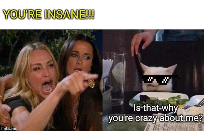 Woman Yelling At Cat Meme | YOU'RE INSANE!!! Is that why you're crazy about me? | image tagged in memes,woman yelling at cat | made w/ Imgflip meme maker