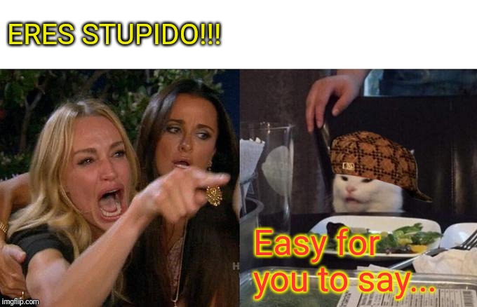 Woman Yelling At Cat | ERES STUPIDO!!! Easy for you to say... | image tagged in memes,woman yelling at cat | made w/ Imgflip meme maker