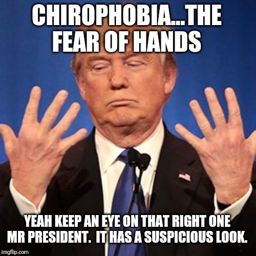 More phobias you have never heard of | CHIROPHOBIA...THE FEAR OF HANDS; YEAH KEEP AN EYE ON THAT RIGHT ONE MR PRESIDENT.  IT HAS A SUSPICIOUS LOOK. | image tagged in big hands,phobia | made w/ Imgflip meme maker