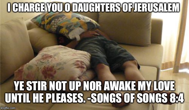 Sleeping on Couch | I CHARGE YOU O DAUGHTERS OF JERUSALEM; YE STIR NOT UP NOR AWAKE MY LOVE UNTIL HE PLEASES. -SONGS OF SONGS 8:4 | image tagged in sleeping on couch | made w/ Imgflip meme maker