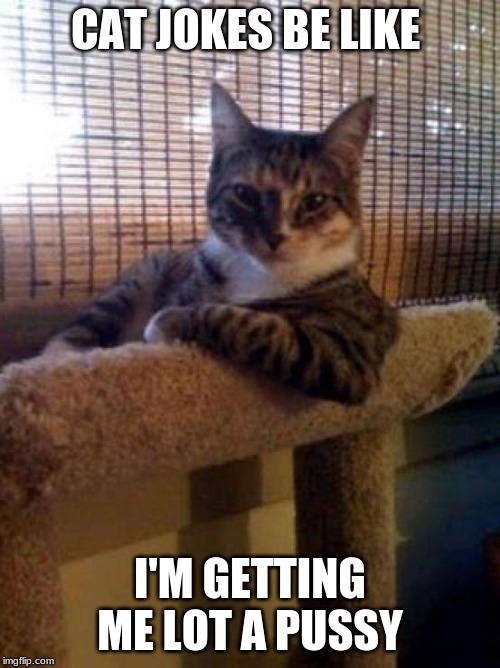The Most Interesting Cat In The World Meme | CAT JOKES BE LIKE; I'M GETTING ME LOT A PUSSY | image tagged in memes,the most interesting cat in the world | made w/ Imgflip meme maker