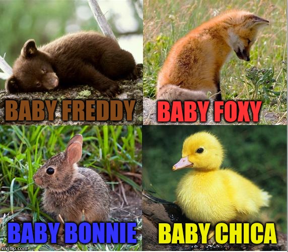FNAF | BABY FOXY; BABY FREDDY; BABY BONNIE; BABY CHICA | image tagged in fnaf | made w/ Imgflip meme maker