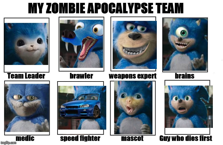 My Zombie Apocalypse Team | image tagged in my zombie apocalypse team,sonic,sonic face swap | made w/ Imgflip meme maker