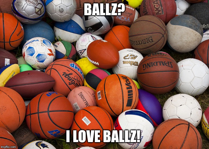sports balls | BALLZ? I LOVE BALLZ! | image tagged in sports balls | made w/ Imgflip meme maker