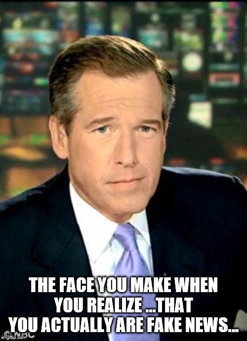 Brian Williams Was There 3 | THE FACE YOU MAKE WHEN YOU REALIZE ...THAT YOU ACTUALLY ARE FAKE NEWS... | image tagged in memes,brian williams was there 3 | made w/ Imgflip meme maker