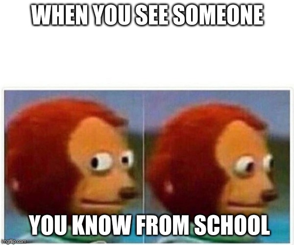 Monkey Puppet Meme | WHEN YOU SEE SOMEONE; YOU KNOW FROM SCHOOL | image tagged in monkey puppet | made w/ Imgflip meme maker
