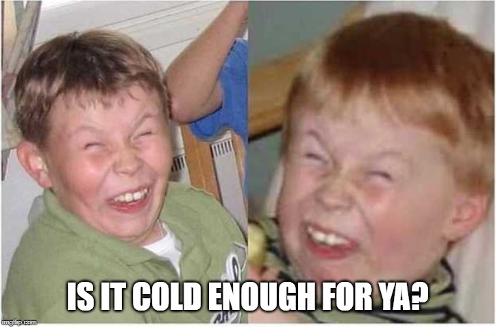 Sarcastic smile | IS IT COLD ENOUGH FOR YA? | image tagged in sarcastic smile | made w/ Imgflip meme maker