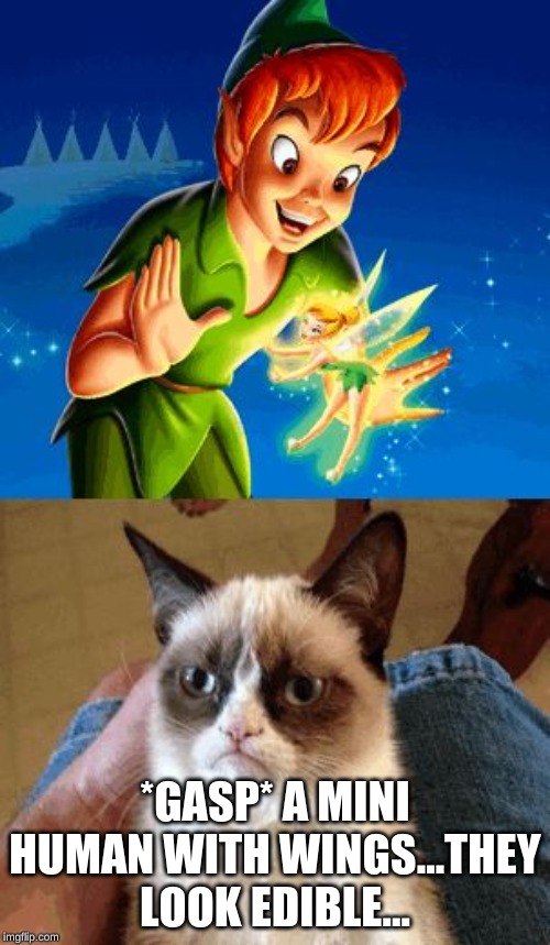 Grumpy Cat Does Not Believe | *GASP* A MINI HUMAN WITH WINGS...THEY LOOK EDIBLE... | image tagged in memes,grumpy cat does not believe,grumpy cat | made w/ Imgflip meme maker