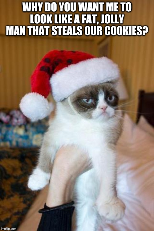 Grumpy Cat Christmas | WHY DO YOU WANT ME TO LOOK LIKE A FAT, JOLLY MAN THAT STEALS OUR COOKIES? | image tagged in memes,grumpy cat christmas,grumpy cat | made w/ Imgflip meme maker