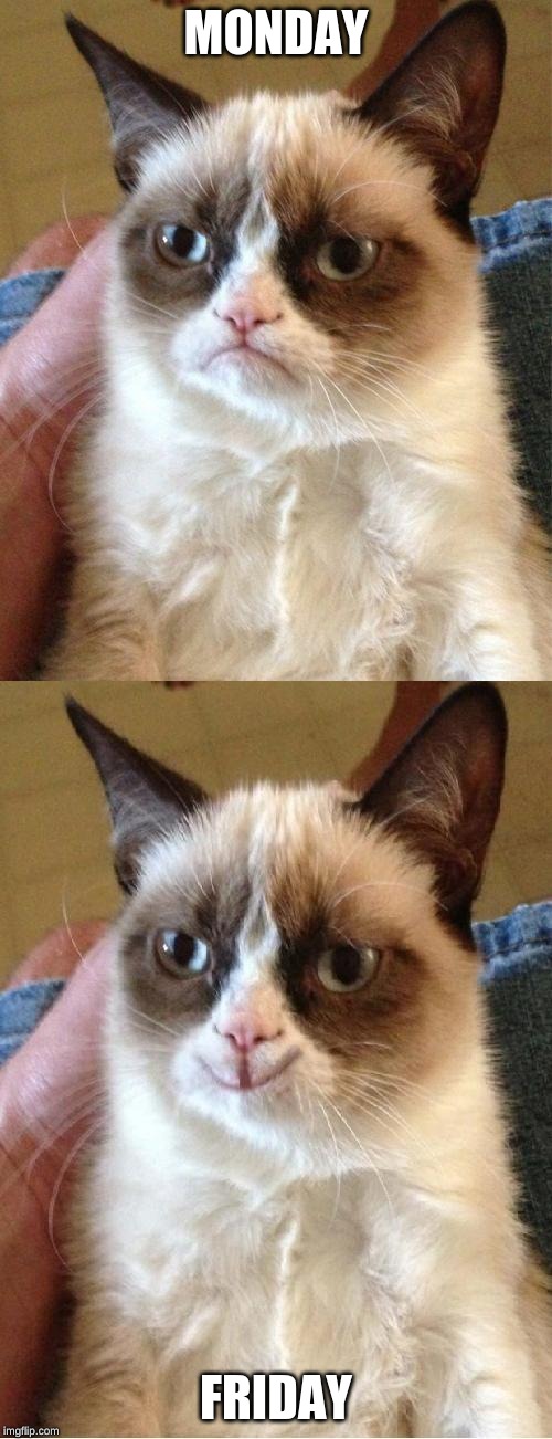 Grumpy Cat 2x Smile | MONDAY; FRIDAY | image tagged in grumpy cat 2x smile | made w/ Imgflip meme maker