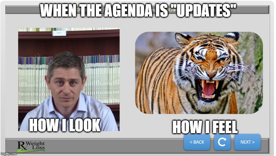 meetings | WHEN THE AGENDA IS "UPDATES"; HOW I FEEL; HOW I LOOK | image tagged in funny | made w/ Imgflip meme maker