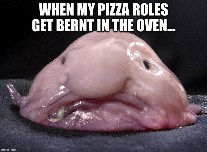 sad fish | WHEN MY PIZZA ROLES GET BERNT IN THE OVEN... | image tagged in memes,dank memes | made w/ Imgflip meme maker