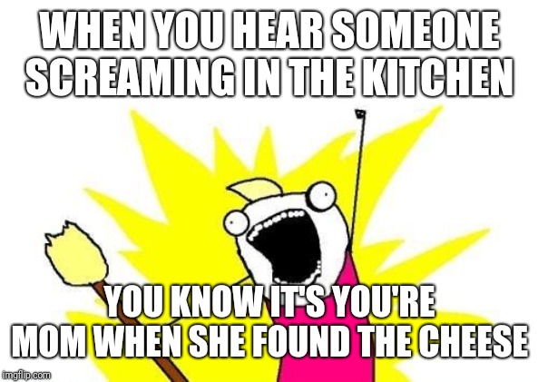 X All The Y Meme | WHEN YOU HEAR SOMEONE SCREAMING IN THE KITCHEN; YOU KNOW IT'S YOU'RE MOM WHEN SHE FOUND THE CHEESE | image tagged in memes,x all the y | made w/ Imgflip meme maker