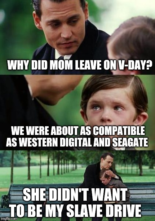 sad johny depp | WHY DID MOM LEAVE ON V-DAY? WE WERE ABOUT AS COMPATIBLE AS WESTERN DIGITAL AND SEAGATE; SHE DIDN'T WANT TO BE MY SLAVE DRIVE | image tagged in sad johny depp | made w/ Imgflip meme maker