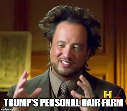 Ancient Aliens | TRUMP'S PERSONAL HAIR FARM | image tagged in memes,ancient aliens | made w/ Imgflip meme maker