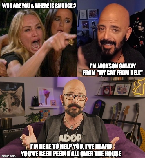 Help Me Jackson Galaxy | WHO ARE YOU & WHERE IS SMUDGE ? I'M JACKSON GALAXY FROM "MY CAT FROM HELL"; I'M HERE TO HELP YOU, I'VE HEARD YOU'VE BEEN PEEING ALL OVER THE HOUSE | image tagged in smudge the cat,smudge,woman yelling at cat,help me | made w/ Imgflip meme maker