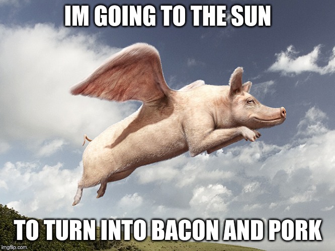 flying pig | IM GOING TO THE SUN; TO TURN INTO BACON AND PORK | image tagged in flying pig | made w/ Imgflip meme maker