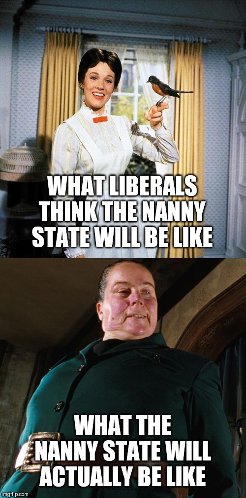 WHAT LIBERALS THINK THE NANNY STATE WILL BE LIKE; WHAT THE NANNY STATE WILL ACTUALLY BE LIKE | image tagged in mary poppins,miss trunchbull | made w/ Imgflip meme maker