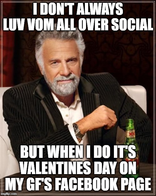 V-day luv vom on fb. yolo! | I DON'T ALWAYS LUV VOM ALL OVER SOCIAL; BUT WHEN I DO IT'S VALENTINES DAY ON MY GF'S FACEBOOK PAGE | image tagged in memes,the most interesting man in the world,love,valentine's day | made w/ Imgflip meme maker