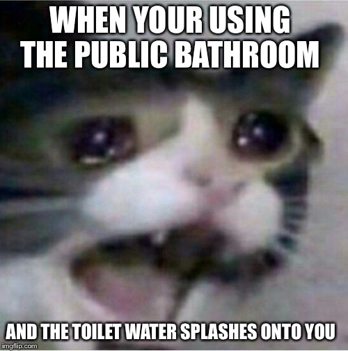 Sad times... | WHEN YOUR USING THE PUBLIC BATHROOM; AND THE TOILET WATER SPLASHES ONTO YOU | image tagged in crying cat,funny,relateable,memes,funny memes,lol | made w/ Imgflip meme maker