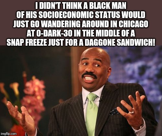 Steve Harvey Meme | I DIDN'T THINK A BLACK MAN OF HIS SOCIOECONOMIC STATUS WOULD JUST GO WANDERING AROUND IN CHICAGO AT 0-DARK-30 IN THE MIDDLE OF A SNAP FREEZE | image tagged in memes,steve harvey | made w/ Imgflip meme maker