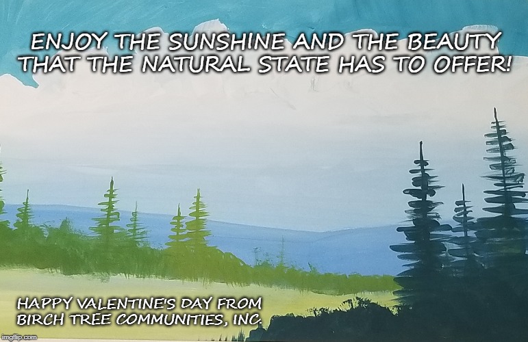 ENJOY THE SUNSHINE AND THE BEAUTY THAT THE NATURAL STATE HAS TO OFFER! HAPPY VALENTINE'S DAY FROM 
BIRCH TREE COMMUNITIES, INC. | image tagged in happy valentine's day,birch tree communities,birch tree,love,nature,arkansas | made w/ Imgflip meme maker