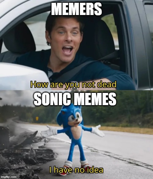 Sonic I have no idea | MEMERS; SONIC MEMES | image tagged in sonic i have no idea | made w/ Imgflip meme maker