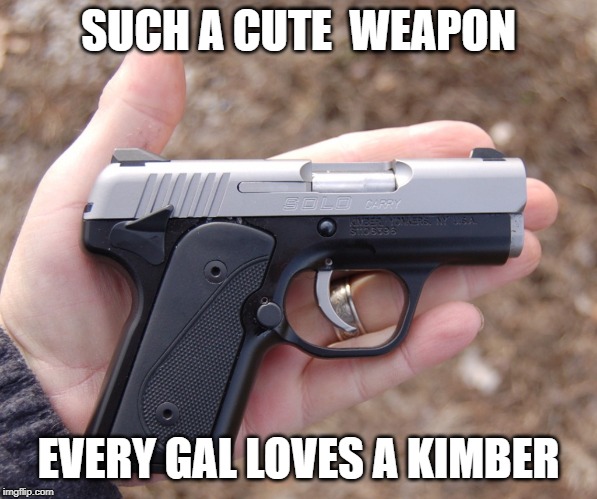 SUCH A CUTE  WEAPON EVERY GAL LOVES A KIMBER | made w/ Imgflip meme maker