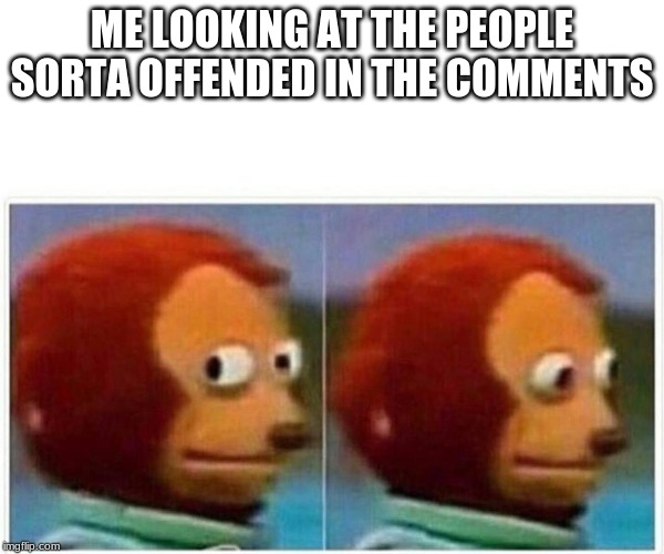 Monkey Puppet Meme | ME LOOKING AT THE PEOPLE SORTA OFFENDED IN THE COMMENTS | image tagged in monkey puppet | made w/ Imgflip meme maker