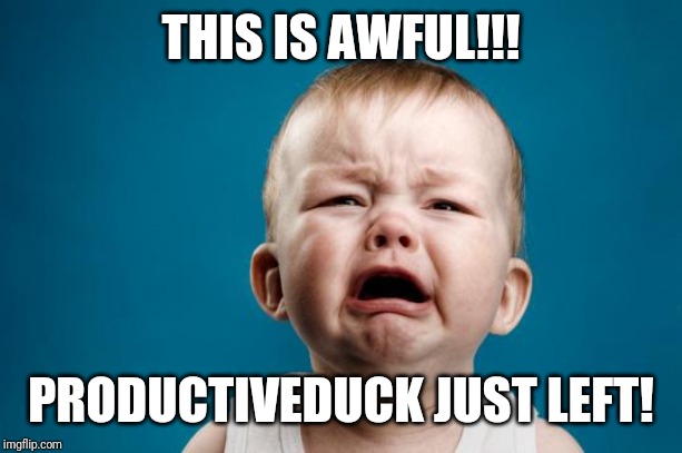 What has Imgflip become?https://imgflip.com/i/3p8avk | THIS IS AWFUL!!! PRODUCTIVEDUCK JUST LEFT! | image tagged in baby crying,productiveduck,sad,crying,bullying,leaving | made w/ Imgflip meme maker