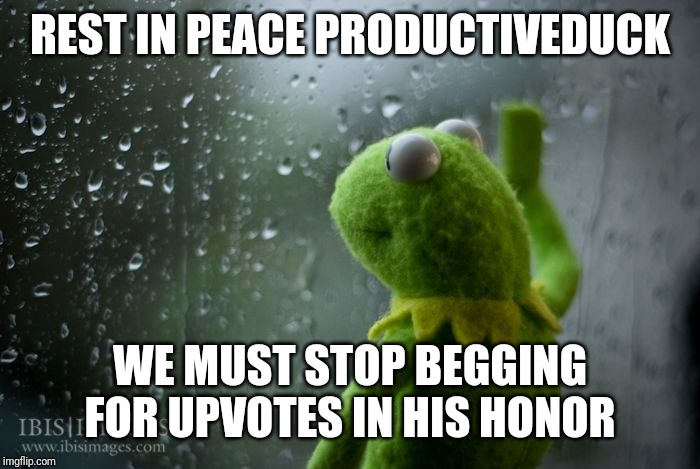 RIP ProductiveDuckhttps://imgflip.com/i/3p8avk | REST IN PEACE PRODUCTIVEDUCK; WE MUST STOP BEGGING FOR UPVOTES IN HIS HONOR | image tagged in kermit window,sad,begging for upvotes,leaving | made w/ Imgflip meme maker