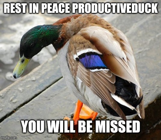 What has Imgflip become?
https://imgflip.com/i/3p8avk | REST IN PEACE PRODUCTIVEDUCK; YOU WILL BE MISSED | image tagged in sad duck,productiveduck,leaving,sad,bullying | made w/ Imgflip meme maker