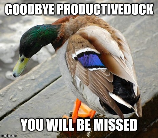 sad duck | GOODBYE PRODUCTIVEDUCK; YOU WILL BE MISSED | image tagged in sad duck,sad,productiveduck,leaving,bullying | made w/ Imgflip meme maker