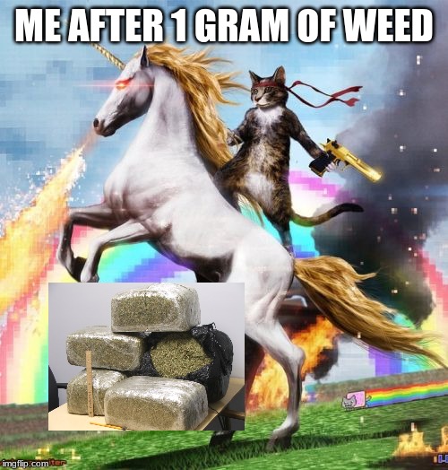 Welcome To The Internets Meme | ME AFTER 1 GRAM OF WEED | image tagged in memes,welcome to the internets | made w/ Imgflip meme maker