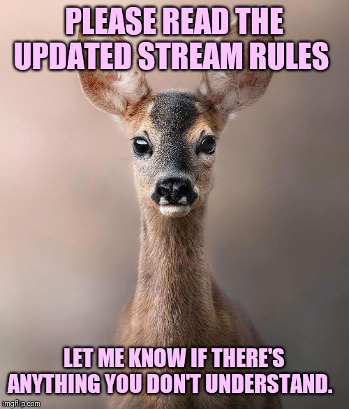Some of you might notice your memes have been removed from this stream. The updated rules should explain why :) | PLEASE READ THE UPDATED STREAM RULES; LET ME KNOW IF THERE'S ANYTHING YOU DON'T UNDERSTAND. | image tagged in terms and conditions,please read | made w/ Imgflip meme maker