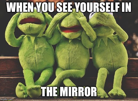 HaHaHa | WHEN YOU SEE YOURSELF IN; THE MIRROR | image tagged in funny memes | made w/ Imgflip meme maker