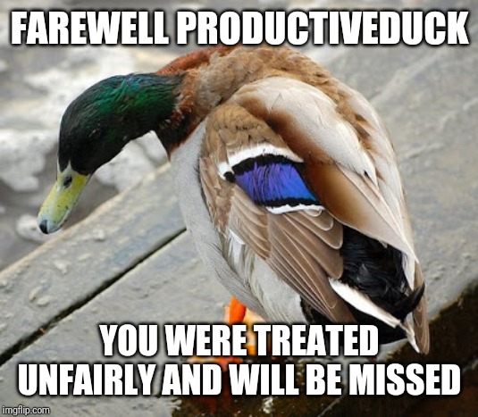What has Imgflip become?
https://imgflip.com/i/3p8avk | FAREWELL PRODUCTIVEDUCK; YOU WERE TREATED UNFAIRLY AND WILL BE MISSED | image tagged in sad duck,sad,productiveduck,farewell,leaving,bullying | made w/ Imgflip meme maker