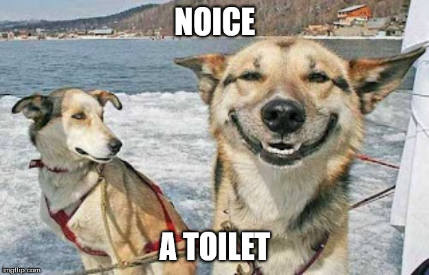 Original Stoner Dog Meme | NOICE A TOILET | image tagged in memes,original stoner dog | made w/ Imgflip meme maker