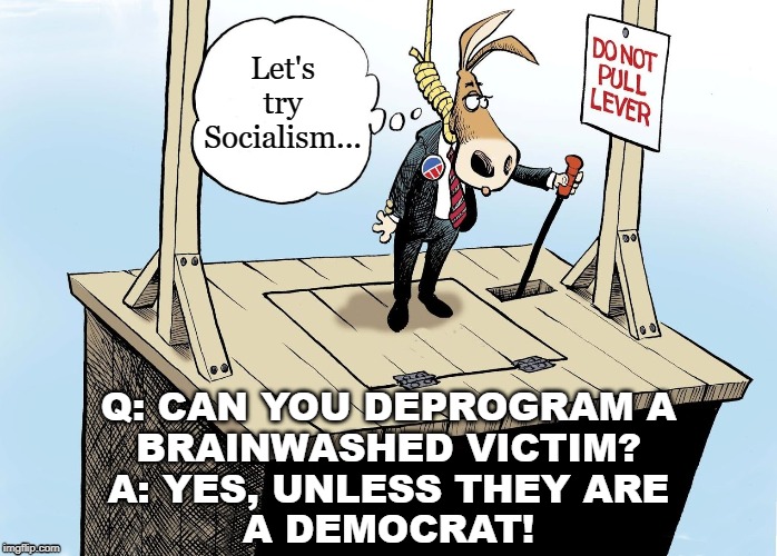 Let's try Socialism... Q: CAN YOU DEPROGRAM A
BRAINWASHED VICTIM?
A: YES, UNLESS THEY ARE
A DEMOCRAT! | image tagged in dnc hanging themselves | made w/ Imgflip meme maker