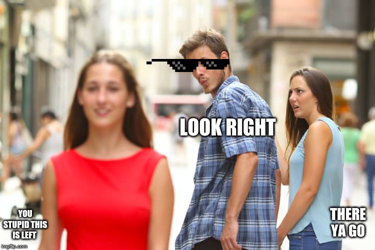 Distracted Boyfriend | LOOK RIGHT; YOU STUPID THIS IS LEFT; THERE YA GO | image tagged in memes,distracted boyfriend | made w/ Imgflip meme maker