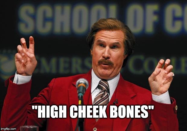 Air Quotes | "HIGH CHEEK BONES" | image tagged in air quotes | made w/ Imgflip meme maker