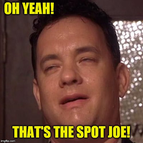 Tom Hanks Orgasm | OH YEAH! THAT'S THE SPOT JOE! | image tagged in tom hanks orgasm | made w/ Imgflip meme maker