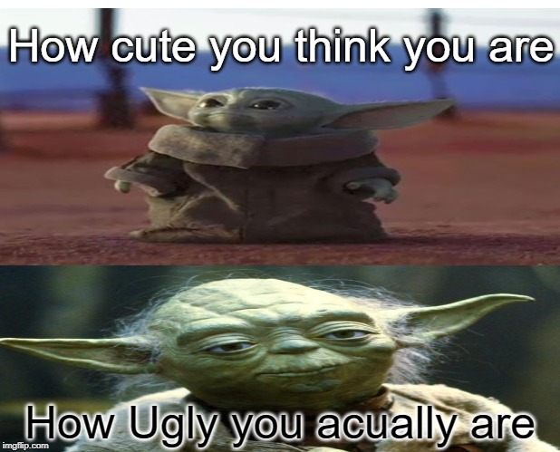 How cute you think you are; How Ugly you acually are | image tagged in yoda | made w/ Imgflip meme maker