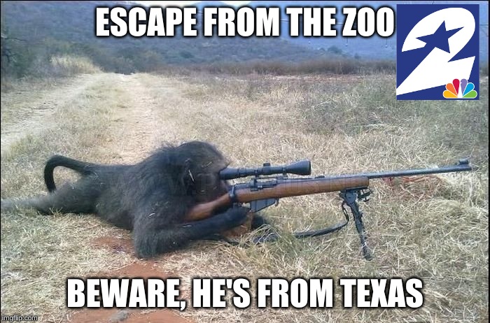 ESCAPE FROM THE ZOO; BEWARE, HE'S FROM TEXAS | image tagged in texanmonkey | made w/ Imgflip meme maker
