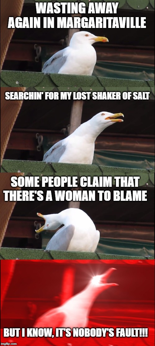 Buffett Gull | WASTING AWAY AGAIN IN MARGARITAVILLE; SEARCHIN' FOR MY LOST SHAKER OF SALT; SOME PEOPLE CLAIM THAT THERE'S A WOMAN TO BLAME; BUT I KNOW, IT'S NOBODY'S FAULT!!! | image tagged in memes,inhaling seagull | made w/ Imgflip meme maker