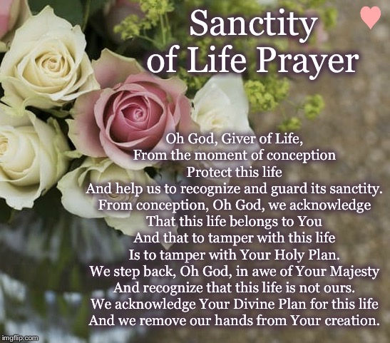 Sanctity of Life Prayer; Oh God, Giver of Life,
From the moment of conception
Protect this life
And help us to recognize and guard its sanctity.
From conception, Oh God, we acknowledge
That this life belongs to You
And that to tamper with this life
Is to tamper with Your Holy Plan.
We step back, Oh God, in awe of Your Majesty
And recognize that this life is not ours.
We acknowledge Your Divine Plan for this life
And we remove our hands from Your creation. | image tagged in prayer | made w/ Imgflip meme maker
