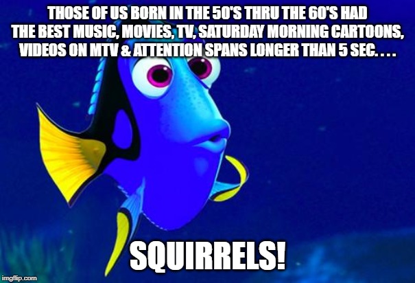 Squirrels | THOSE OF US BORN IN THE 50'S THRU THE 60'S HAD THE BEST MUSIC, MOVIES, TV, SATURDAY MORNING CARTOONS, VIDEOS ON MTV & ATTENTION SPANS LONGER THAN 5 SEC. . . . SQUIRRELS! | image tagged in bad memory fish | made w/ Imgflip meme maker