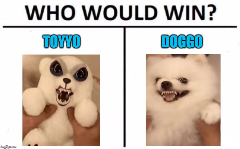 Who would win: Toyyo or Doggo? Shoutout to NonDescript on the GIF. | TOYYO; DOGGO | image tagged in memes,who would win,toy,doggo,rar,squeeze | made w/ Imgflip meme maker