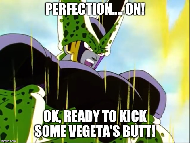 Perfect Cell | PERFECTION.... ON! OK, READY TO KICK SOME VEGETA'S BUTT! | image tagged in perfect cell | made w/ Imgflip meme maker